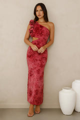 Mystique Beauty One Shoulder Maxi Dress Pink